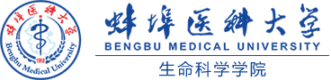 必威西汉姆官网平台